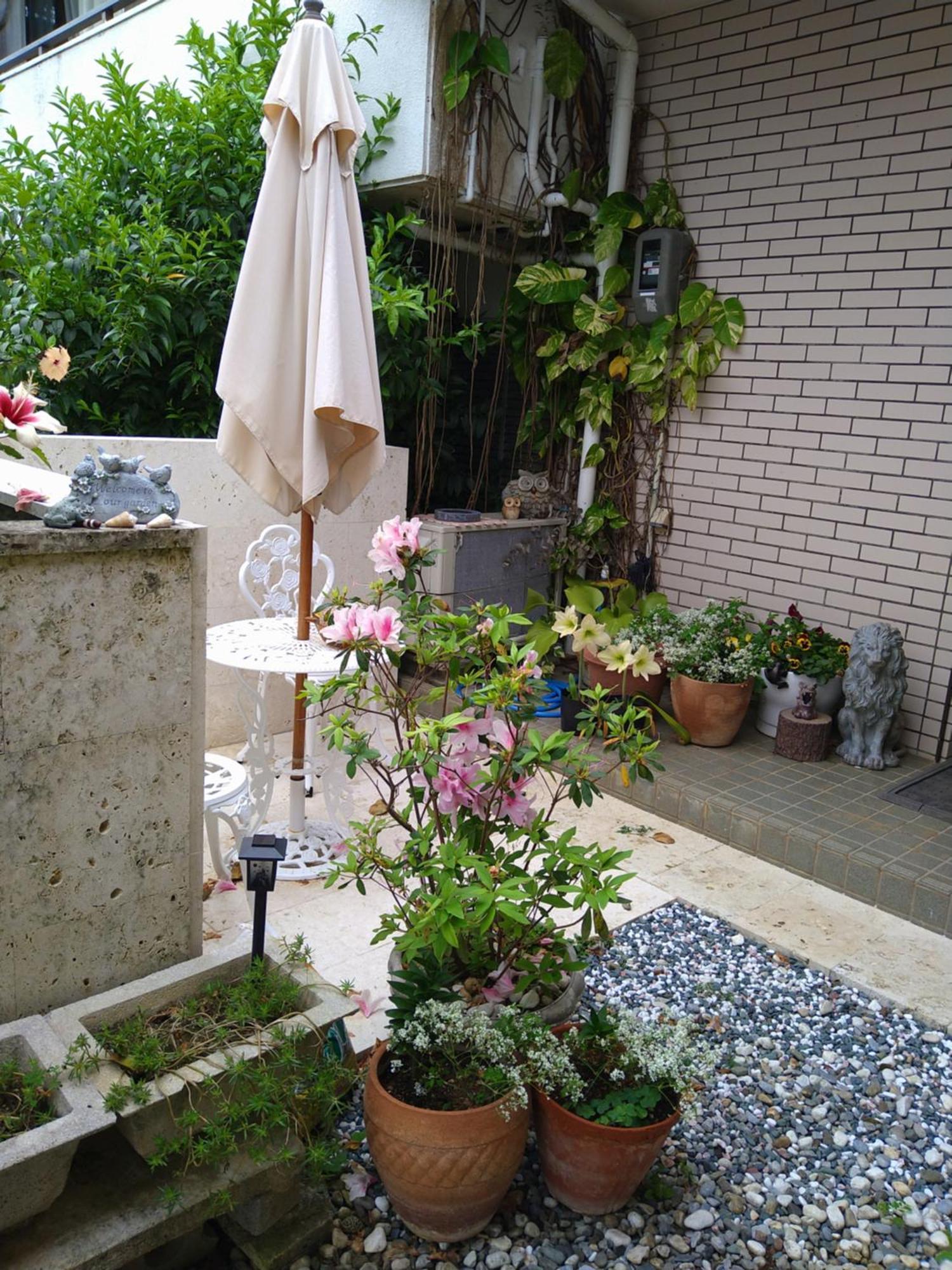 Minshuku Zabaru Hostel Ishigaki  Exterior photo