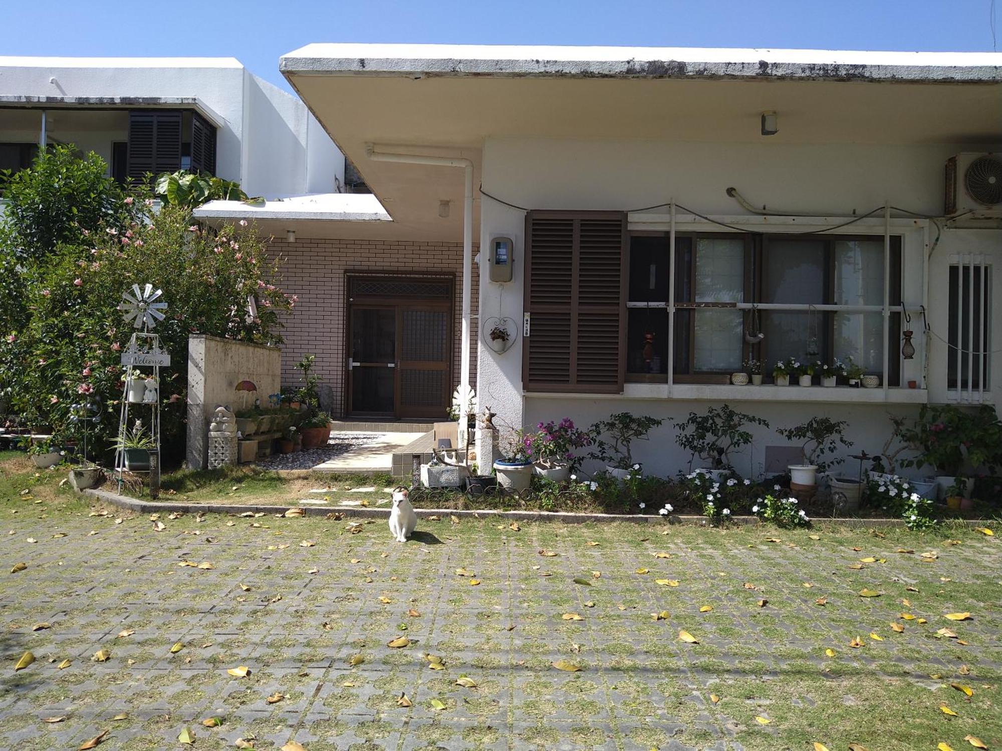 Minshuku Zabaru Hostel Ishigaki  Exterior photo